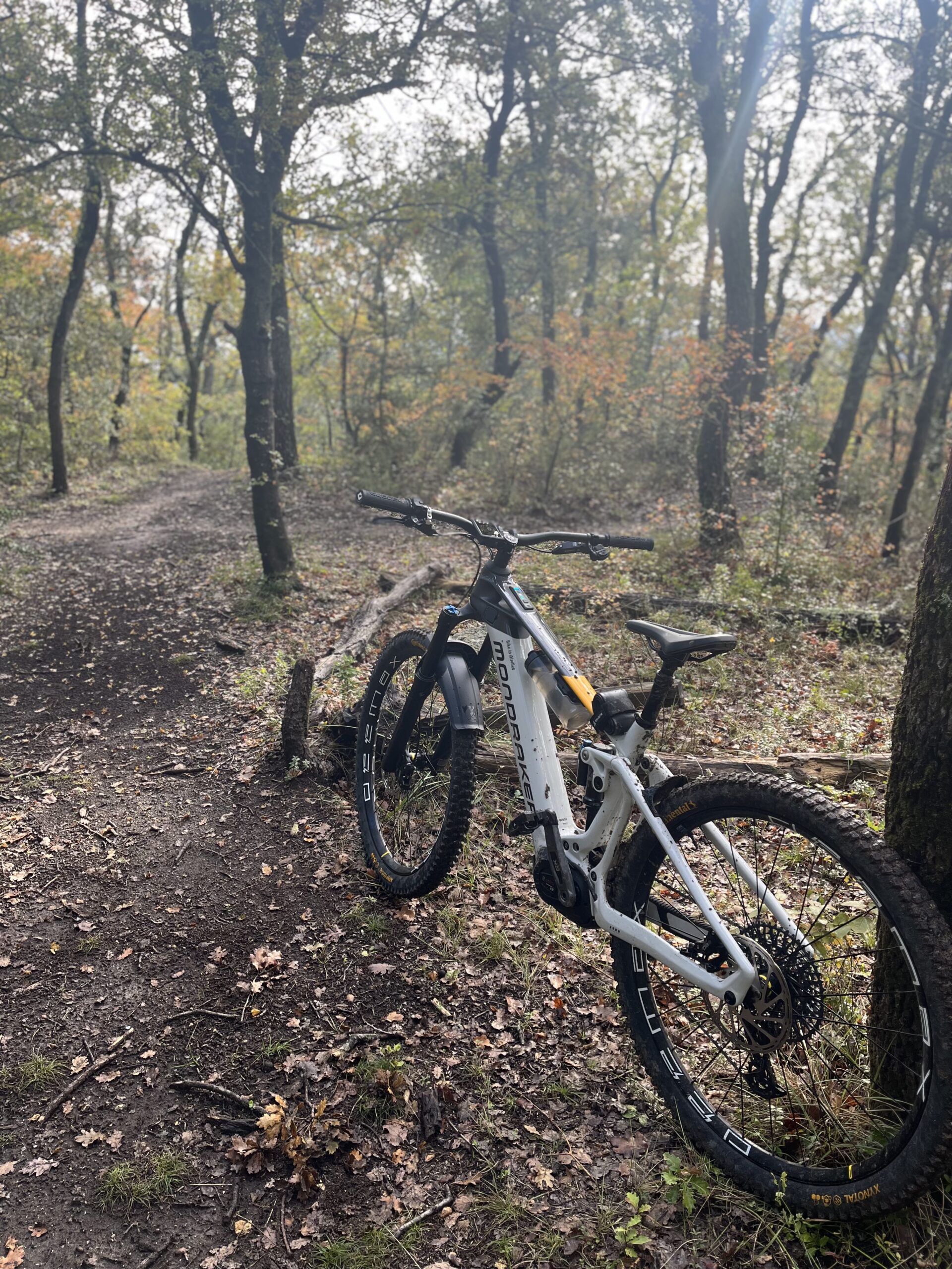 location vélos électriques paradou maussane-les-alpilles