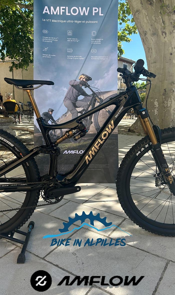 location vélos électriques paradou maussane-les-alpilles